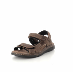 Tilidis marron