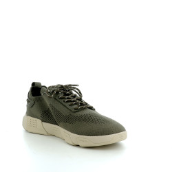 Baskets basses vertes cactus