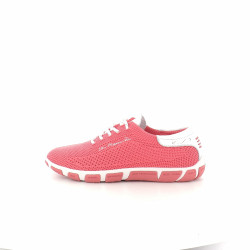 Baskets Jazaria