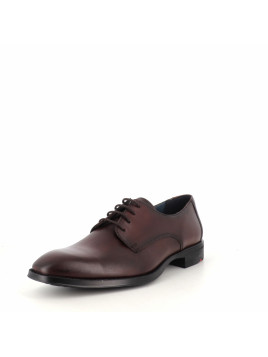 Derbys Marron LLoyd