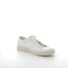 Baskets basses blanches