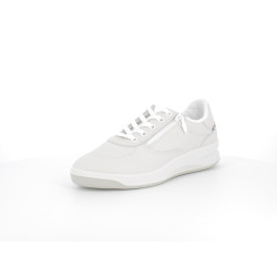 Baskets basses blanches