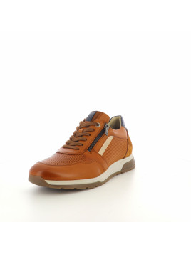 Baskets basses marron