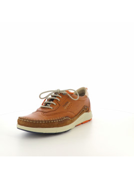 Baskets basses marron