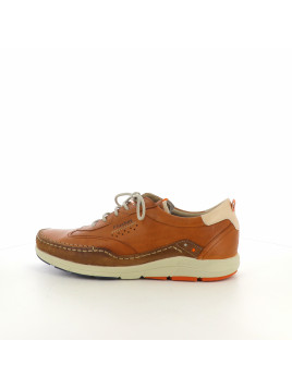 Baskets basses marron
