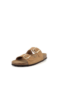 Titona camel