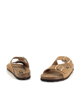 Titona camel