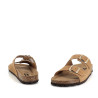 Titona camel