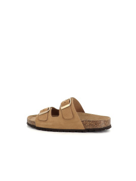 Titona camel