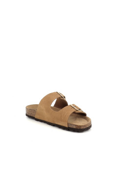 Titona camel