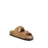 Titona camel