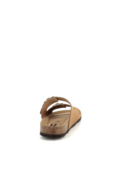 Titona camel