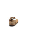 Titona camel