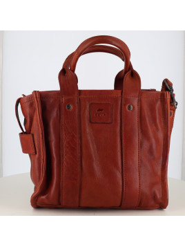 cp 3707 cognac