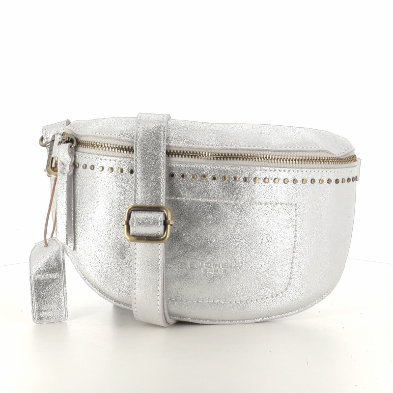 F9209-1 argent