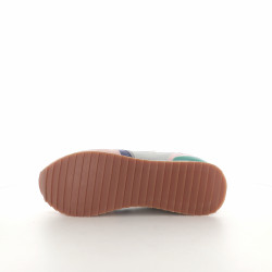 Oceana multicolore