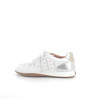 Dinus compo nappa blanc