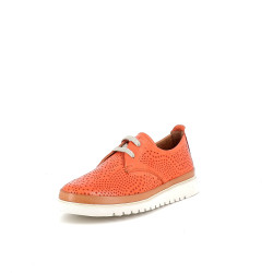 Derbys