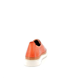 Derbys