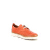 Derbys