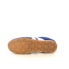 Basket Bleues