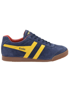 Gola Harrier