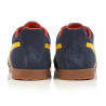 Gola Harrier