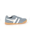Gola Harrier