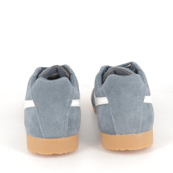 Gola Harrier