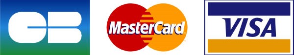 logo paiement